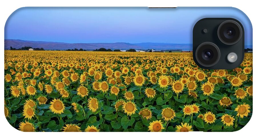 Sunrise Sunflower Field 2 iPhone Case featuring the photograph Sunrise Sunflower Field 2 by Lynn Hopwood