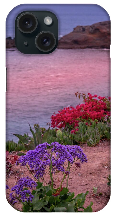 Ocean iPhone Case featuring the photograph Sunset Beach Flowers by Aaron Burrows
