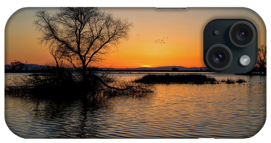 California iPhone Case featuring the photograph Sunset in the Refuge by Cheryl Strahl