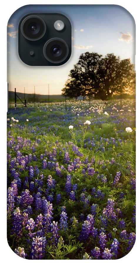 Lupine iPhone Case featuring the photograph Sunset Over A Field Of Texas Bluebonnets by Photography By Bridget Calip