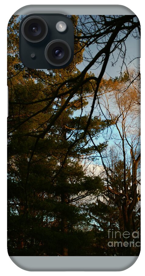 Nature iPhone Case featuring the photograph Sunset Through the Branches by Frank J Casella