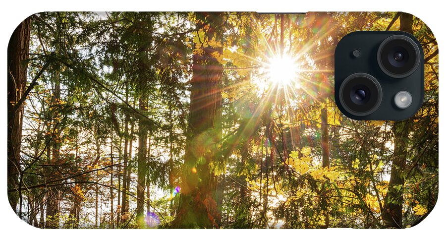 Fall; Autumn; Color; Trees; Forest; Sun; Ray Of Sunshine; Trail; Chuckanut Drive; Washington; Pnw; Pacific North West iPhone Case featuring the digital art Sunshine at Whatcom County by Michael Lee