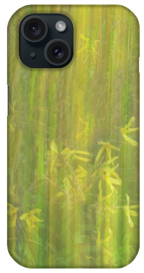 Abstact iPhone Case featuring the photograph Sunshine by Minnie Gallman