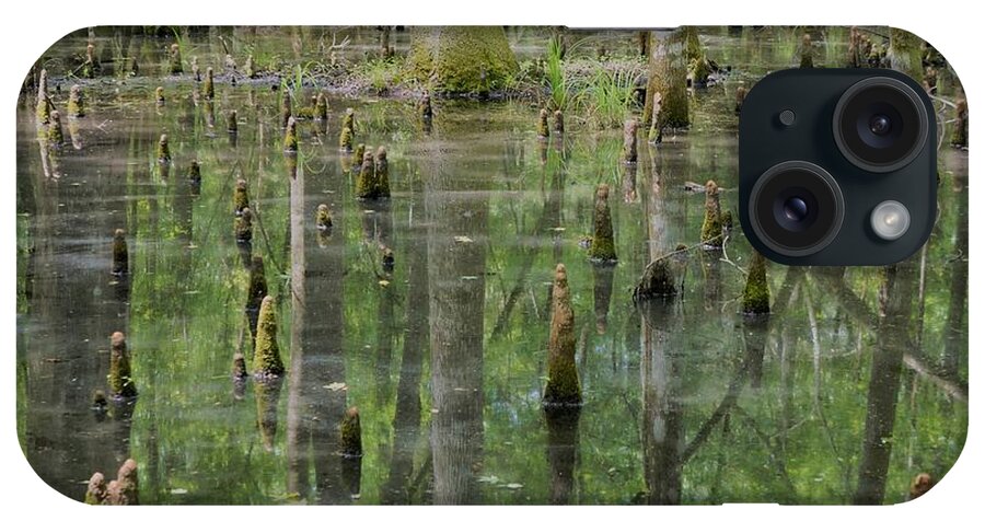 #fineartamerica #photography #images #prints #art #wallart #artist #artwork #homedecoration #framed #acrylic #homedecor #posters #coffeemug #canvasprints #fineartamericaartist #greetingcards #mug #homedecorating #phonecases #tapestries #gregweissphotographyart #grooverstudios iPhone Case featuring the photograph Swamp Cypress Roots by Groover Studios
