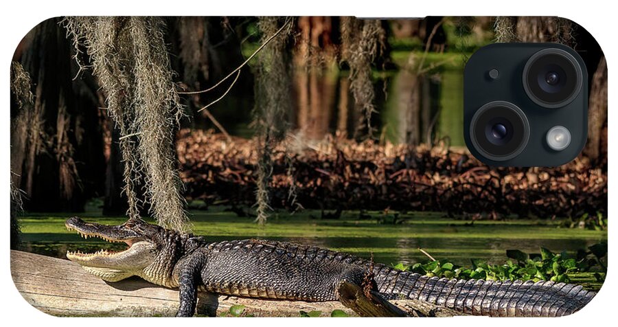 Wildlife iPhone Case featuring the photograph Swamp Gator by JASawyer Imaging