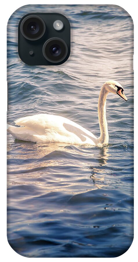 Swan iPhone Case featuring the photograph Swan by Nicklas Gustafsson