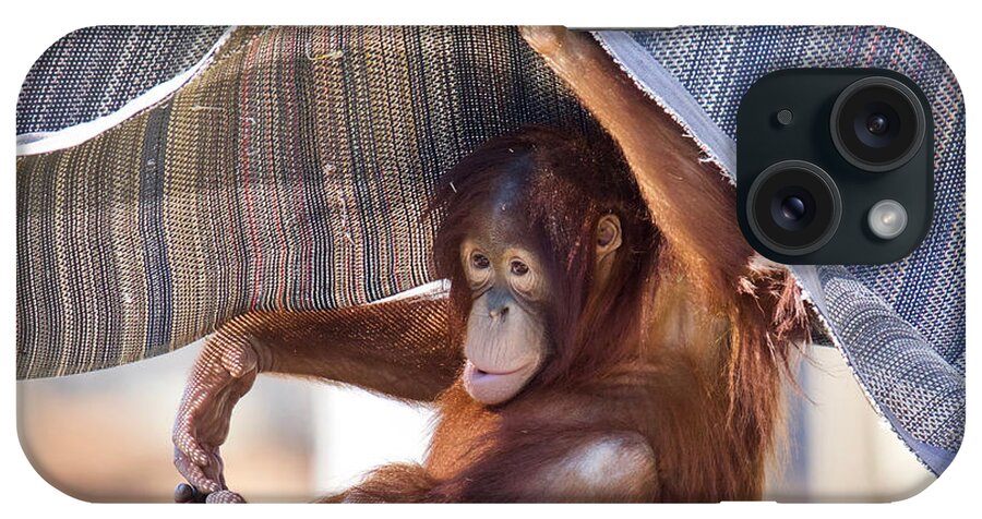 Orangutan iPhone Case featuring the photograph Sweet Baby Orangutan by Rachel Morrison