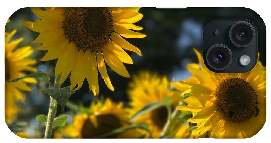 Sunflowers iPhone Case featuring the photograph Sweet Sunflowers by Lora J Wilson