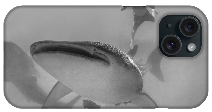 Disk1215 iPhone Case featuring the photograph Swimming With The Big Fish by Tim Fitzharris