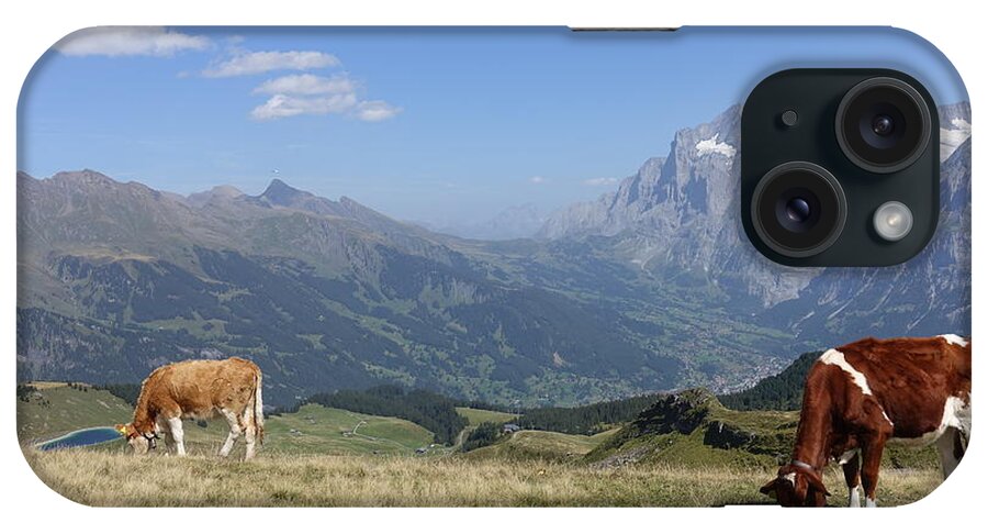 Switzerland iPhone Case featuring the photograph Swiss Cows Grazing by Patricia Caron