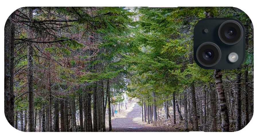 Hiking Trail iPhone Case featuring the photograph Take Me To The Forest by Susan Rydberg