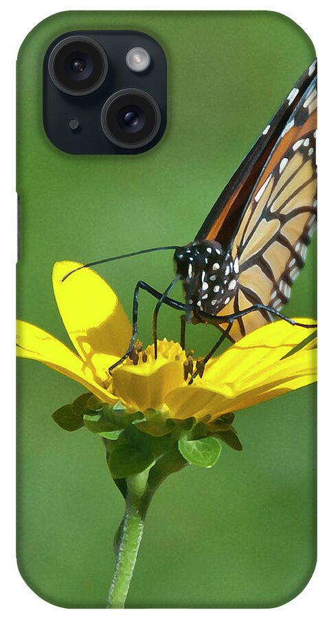 Butterfly iPhone Case featuring the photograph Taking A Break by Billy Knight