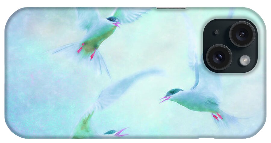 Terns iPhone Case featuring the photograph Terns squabbling by Brian Tarr