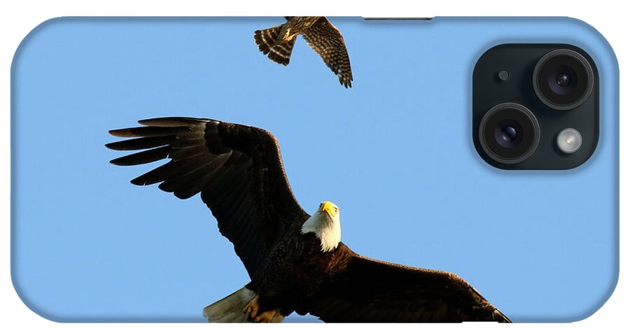 Eagle iPhone Case featuring the photograph The bald eagle and the merlin by Heather King