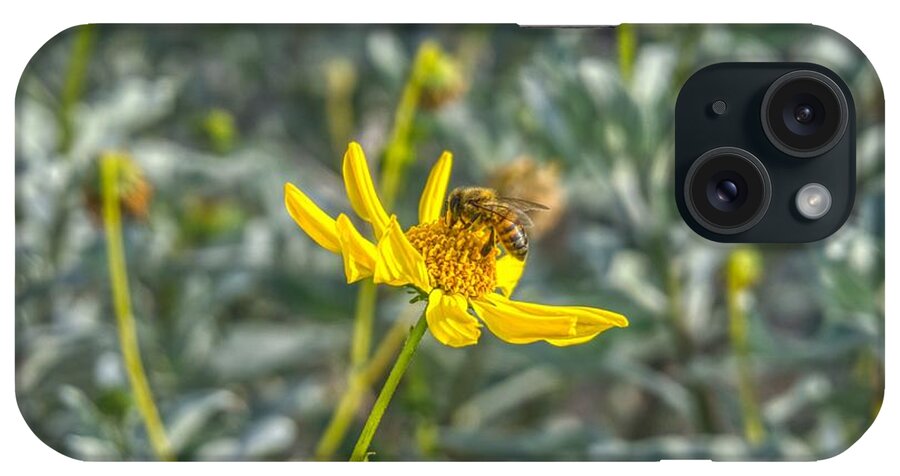 Sunsets iPhone Case featuring the photograph The Bee The Flower by Anthony Giammarino