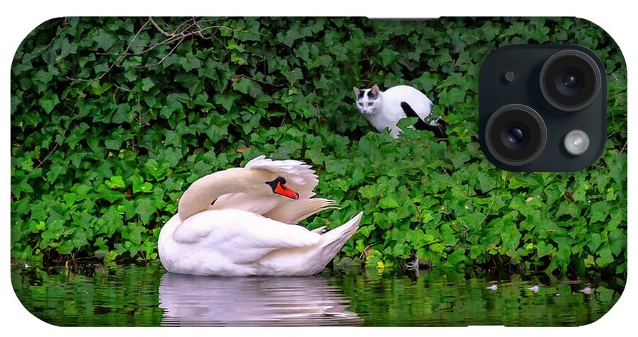 Cat iPhone Case featuring the photograph The Cat and the Swan by Micah Offman
