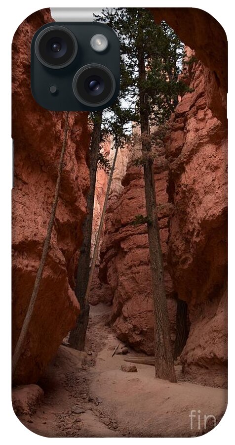 Utah iPhone Case featuring the photograph The Chapel, Bryce Canyon by Leslie M Browning
