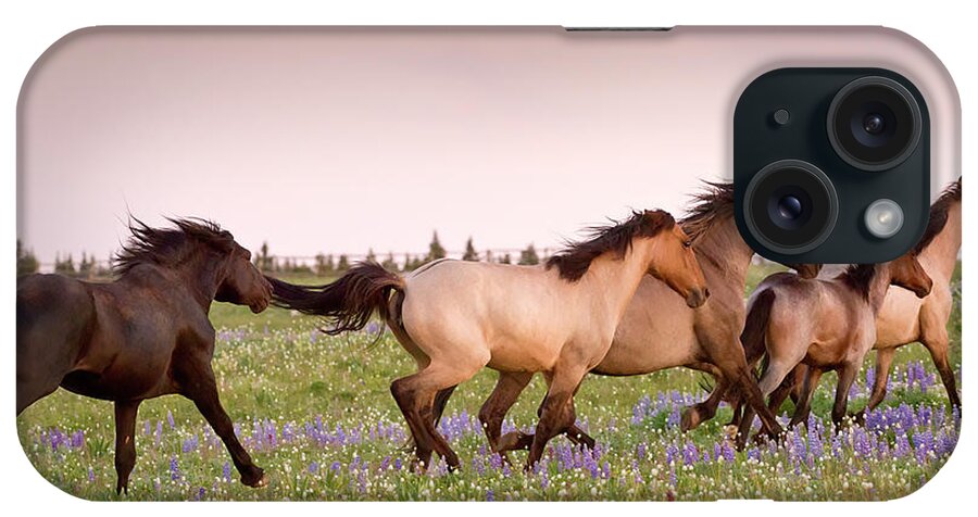 Beautiful Photos iPhone Case featuring the photograph The Chase 1 by Roger Snyder