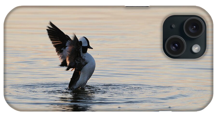Bufflehead iPhone Case featuring the photograph The Eagle Has Landed by Marianne Kuzimski