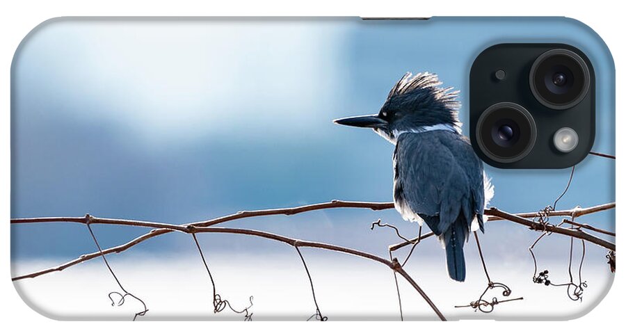 Bird iPhone Case featuring the photograph The Elusive Belted Kingfisher by Sam Rino