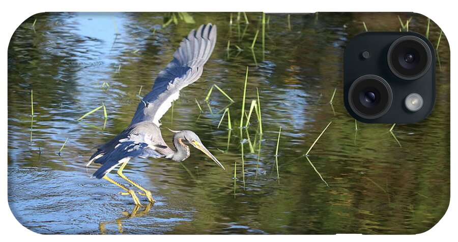 Tricolored Heron iPhone Case featuring the photograph The Glider by Carol Groenen