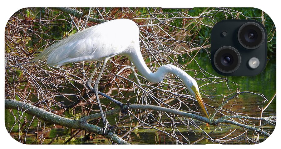 Great Egret iPhone Case featuring the photograph The Hunter by Scott Cameron
