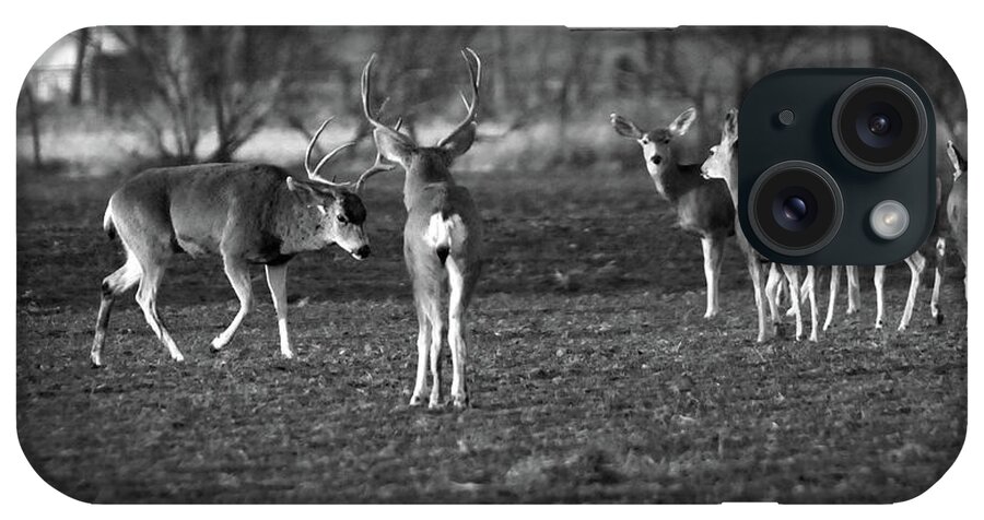 Richard E. Porter iPhone Case featuring the photograph Squaring Off - Deer, Texas Panhandle by Richard Porter