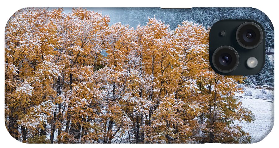 Autumn iPhone Case featuring the photograph The Last In Line by John De Bord