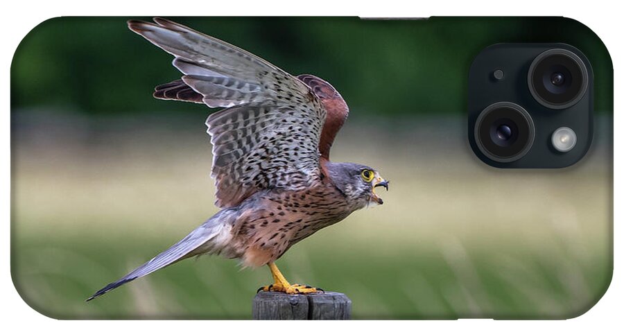 Kestrel iPhone Case featuring the photograph The male Kestrel on his way by Torbjorn Swenelius
