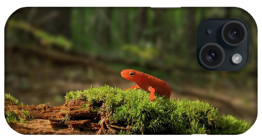 Red Eft iPhone Case featuring the photograph The Moss Boss by Jerry LoFaro