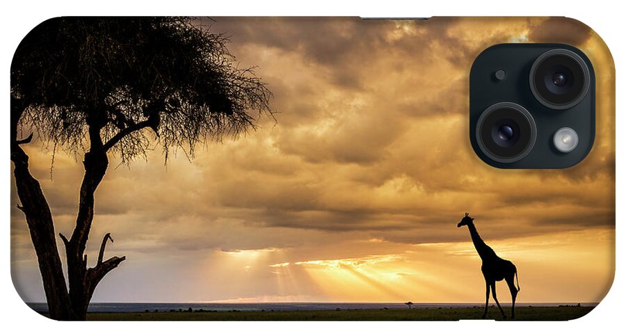 Acacia Tree iPhone Case featuring the photograph The Plains of Africa by Phil And Karen Rispin