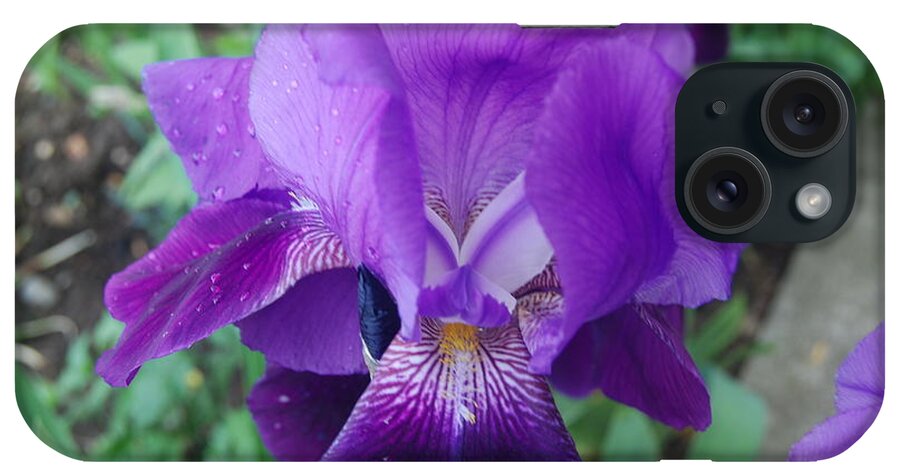 Flowers iPhone Case featuring the photograph The Purple Iris Flower by Ee Photography