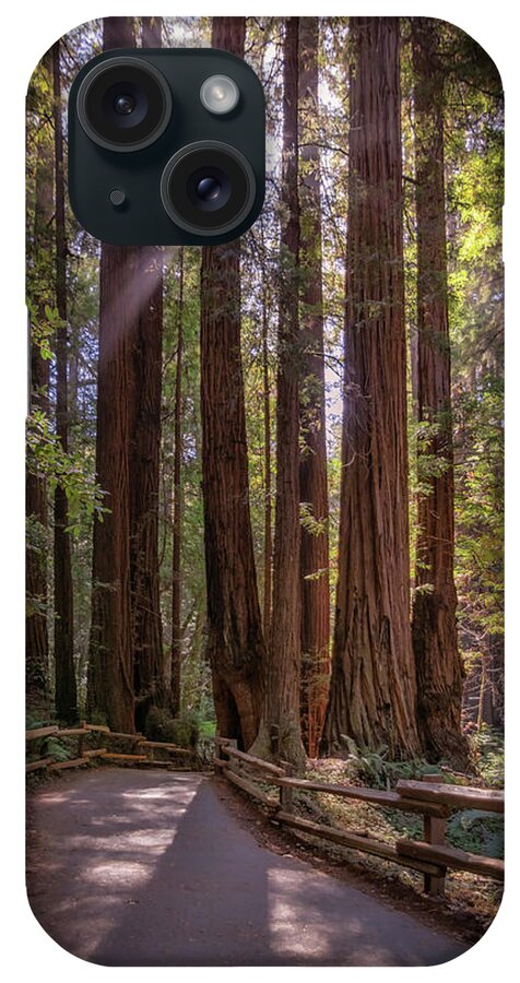 Muir Woods iPhone Case featuring the photograph The Redwood Grove by Kristen Wilkinson