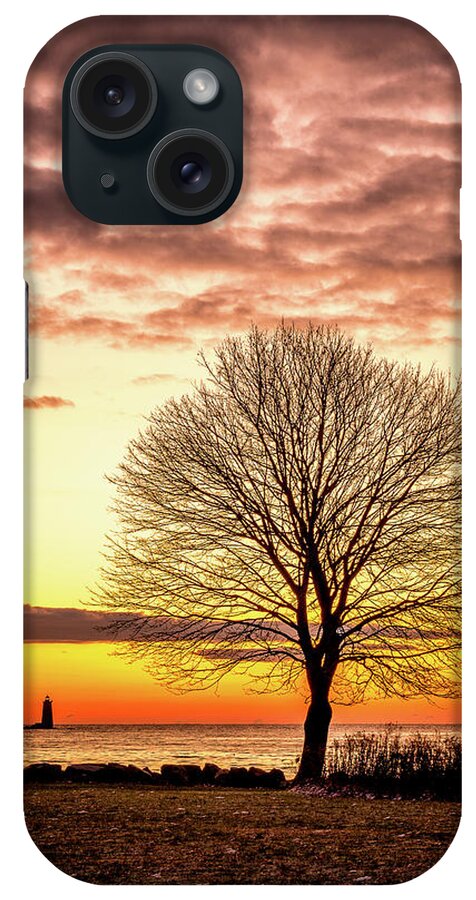 New Hampshire iPhone Case featuring the photograph The Tree by Jeff Sinon