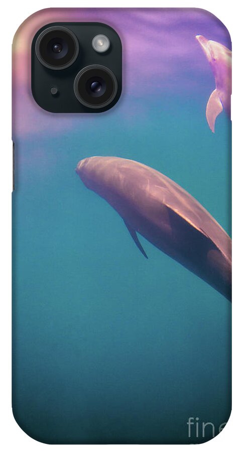 Dolphin iPhone Case featuring the photograph The World is Beautiful by Becqi Sherman