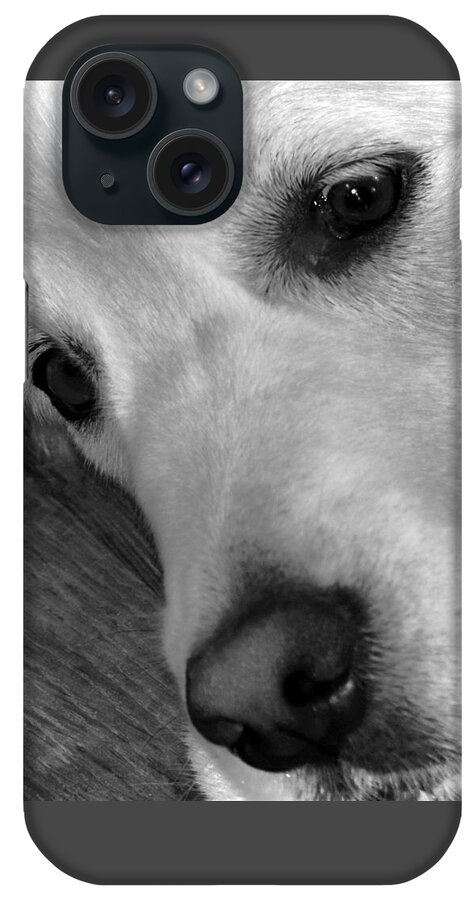 Them There Eyes iPhone Case featuring the photograph Them There Eyes by Debra Grace Addison