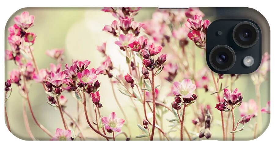 Nature iPhone Case featuring the photograph There are many of us by Augenwerk Susann Serfezi