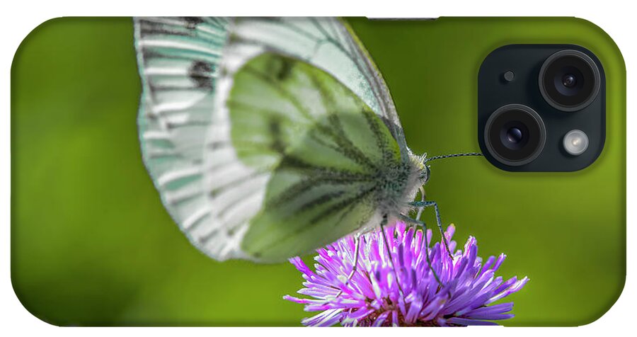 Thistle Dinner iPhone Case featuring the photograph Thistle dinner #i9 by Leif Sohlman