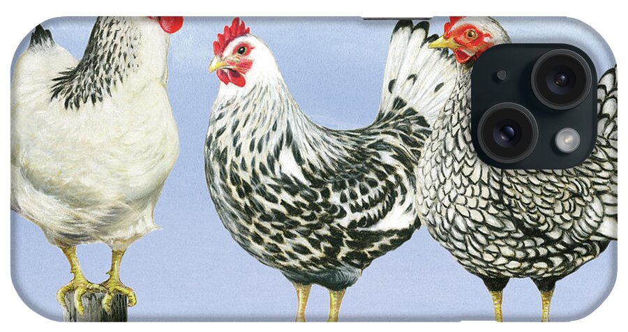 Hens iPhone Case featuring the painting Three Black & White Hens by Janet Pidoux