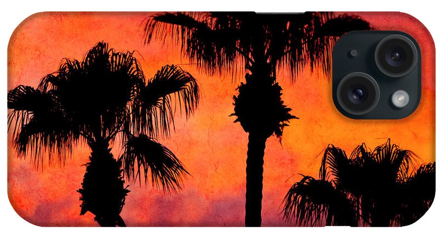 Palm Springs iPhone Case featuring the photograph Three Palms by Sandra Selle Rodriguez