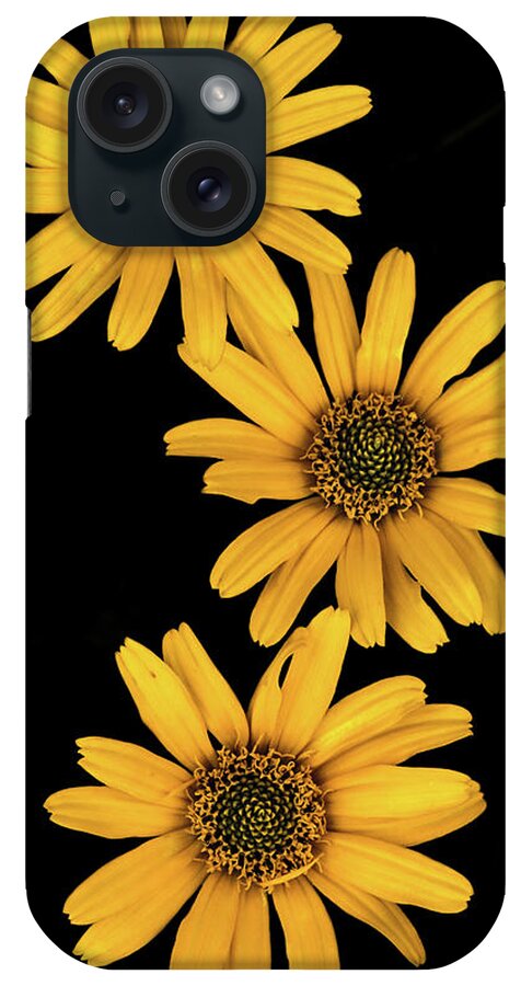 Yellow iPhone Case featuring the photograph Three Sunflowers by Jeff Phillippi
