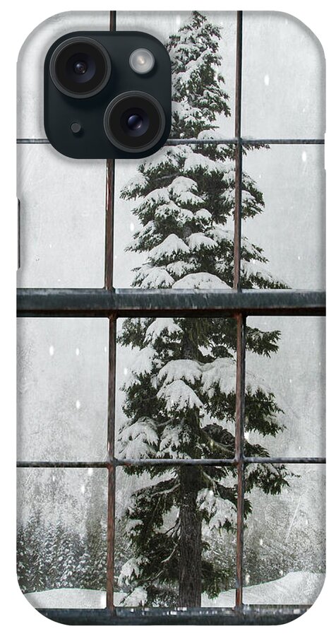 Window iPhone Case featuring the photograph Through the Window by Marilyn Wilson