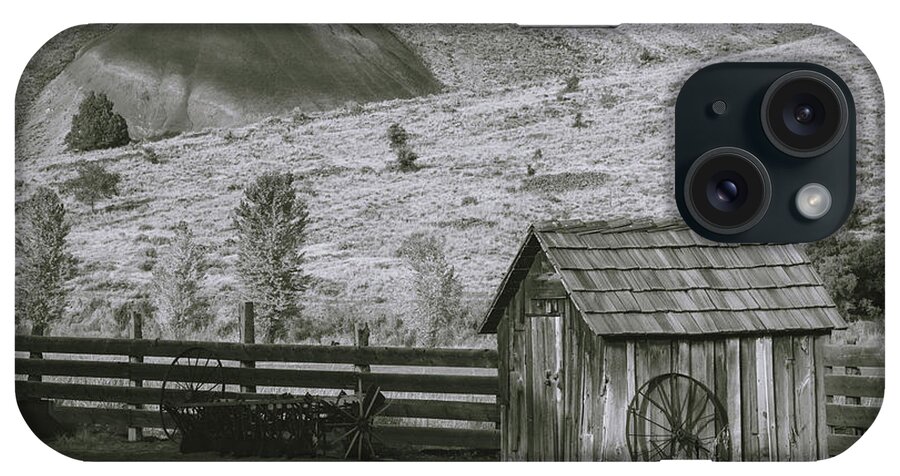 John Day Fossil Beds iPhone Case featuring the photograph Timeless by Catherine Avilez