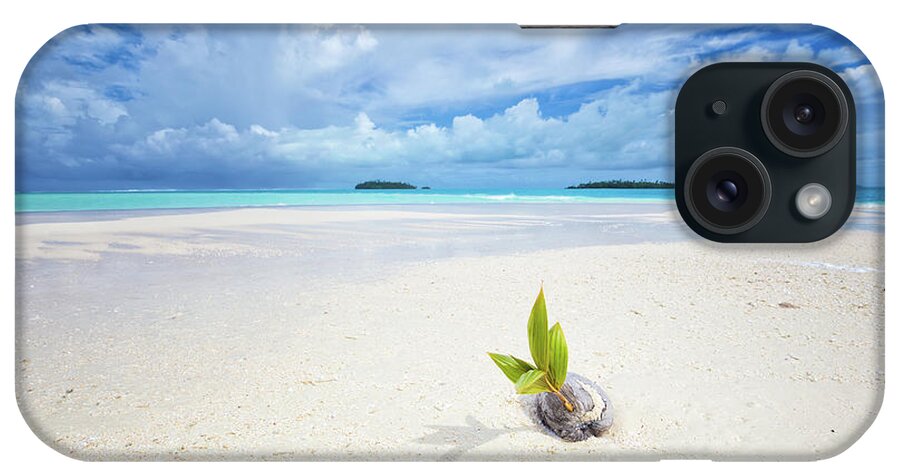 Coconut iPhone Case featuring the photograph To Be a Coconut by Becqi Sherman