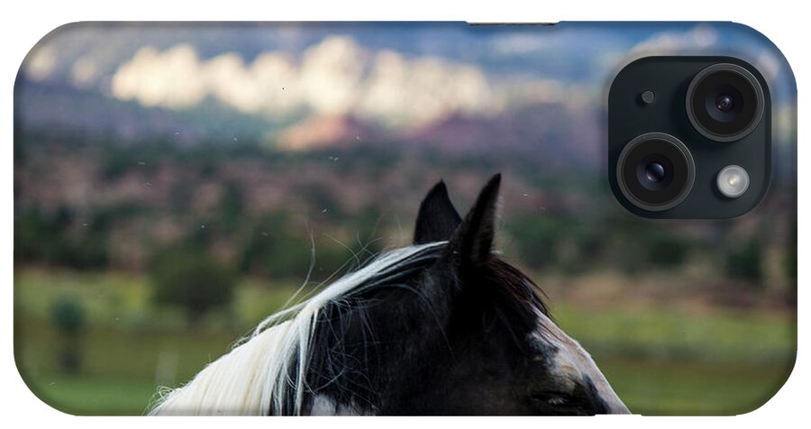 Horse iPhone Case featuring the photograph Torrey Horse #2 by Jonathan Thompson