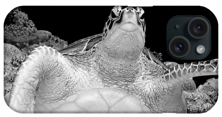 Sea Turtle iPhone Case featuring the photograph Tortuga Beauty by Becqi Sherman