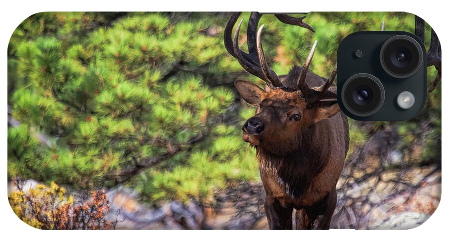 Bull Elk iPhone Case featuring the photograph Trail Breaker by Jim Garrison