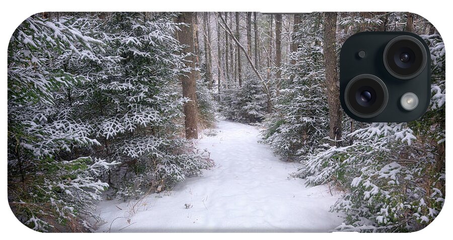 Freeport iPhone Case featuring the photograph Trail Through The Snowy Forest by Rick Berk