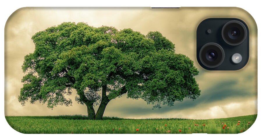 Montefrio iPhone Case featuring the photograph Tree In Field by Victorpefotografia