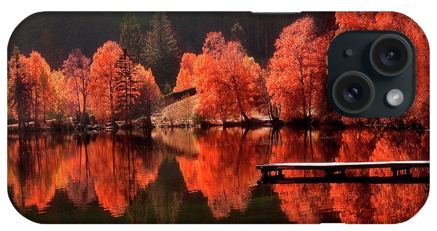 Autumn iPhone Case featuring the photograph Trees Facing Trees by Philippe Sainte-Laudy